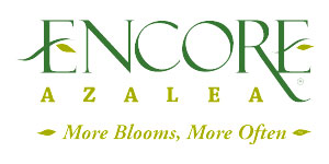 Encore&reg; Azalea