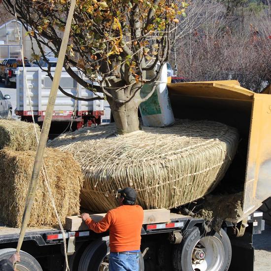 Peat & Son Delivery Service