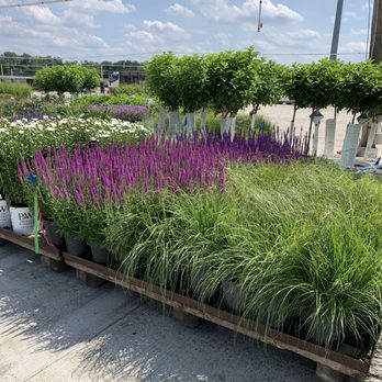 Medford Nursery