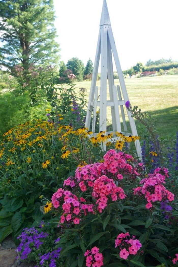 Phlox paniculata Candy Store&reg; Coral Crème Drop&trade;